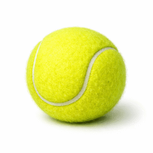 1/hr private Adult 🎾lesson